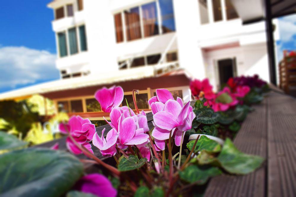 Royal Vila Hotel Tirana Exterior foto